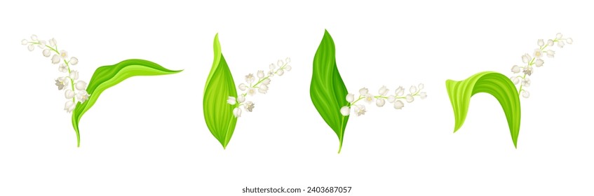 Lily of the Valley Blooming Flower on Stem with Green Leaf Vector Set