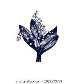 Lily of the valley bouquet hand drawn Isolated vector. Botanical illustration. Universal templates for invitation or packaging. Engraving