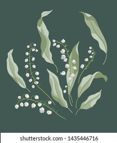 Lily of the valley branch white green Valentine's Day mother's day botany herbarium