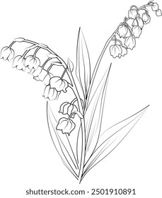 Lily of the Valley coloring book hand drawn botanical spring elements bouquet of Lily of the Valley flower line art, coloring page, vector sketch, artistic simplicity doodle art