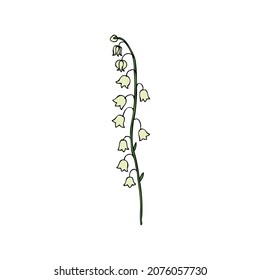 Lily of the valley, Convallaria flower, colorful muguet isolated on white background botanical hand drawn sketch vector doodle illustration for design package cosmetic, greeting card, wedding invite