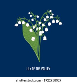 Lily of the valley Convallaria majalis, spring flower. Hand drawn vector illustration