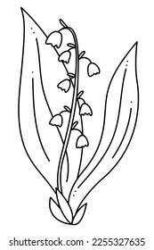 Lily of the Valley doodle. Hand drawn outline vector illustration.