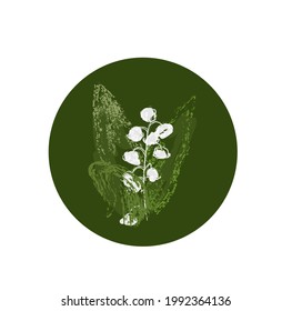 lily of the valley drawing vector illustration