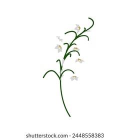 Lily of valley flower. Beautiful flower for making summer and spring meadow  designs. Vector illustration.