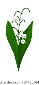 Lirio de la flor del valle. Hermosa flor para hacer diseños de prados de verano y primavera. Ilustración vectorial.