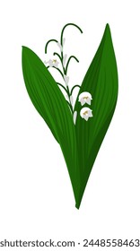 Lily of valley flower. Beautiful flower for making summer and spring meadow  designs. Vector illustration.