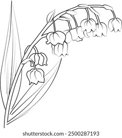 Lily of the Valley Flower drawings, Lily of the Valley line drawing, pencil Lily of the Valley drawing, pencil Lily of the Valley Flower coloring pages, free printable flower coloring pages
