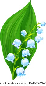 Lily of the valley flower with flowers and leaf. Vector plant, realistic botanical illustration