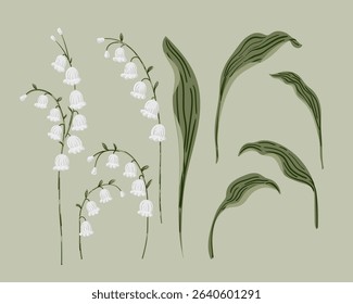 Lily Of the Valley Flower and herb set. Hand painted botanical May Birth Month Flower collection