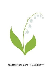 lily of the valley flower isolated vector image. spring floral element for design