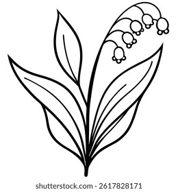 lily of the valley flower line art vector isolated on white background