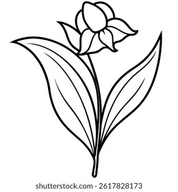 lily of the valley flower line art vector isolated on white background