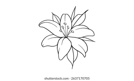 Lily of the Valley flower sketch, simple Lily of the Valley illustration, Lily of the Valley painting design, coloring pages featuring Lily of the Valley