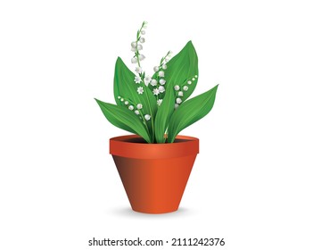 Lily of the valley flowers (may bells, Convallaria majalis) in a plastic pot. Realistic vector illustration isolated on white background for gift, interior design, flower shop advertising, other.