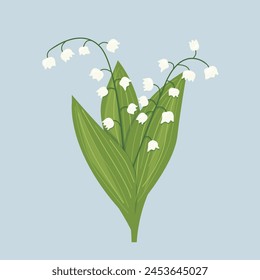 lily of the valley flowers; perfect for greeting cards, wedding , first holy communion, baptism invitations, or botanical-themed designs - vector illustration