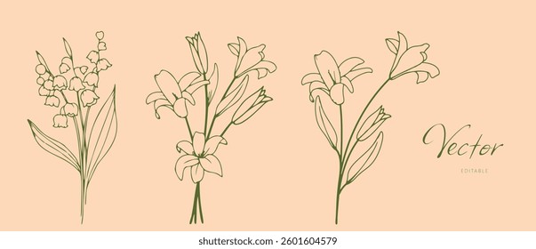 Lily and Lily of the Valley Flowers, a set of botanical hand drawn vector elements. Floral collection of flowers and roses. Minimal style blossom illustration for logo, wedding, invitation, decoration