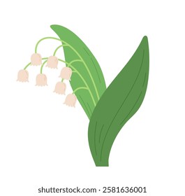 Lily of the valley  flowers spring vector illustration