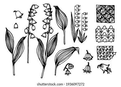 Lilie des Tals. Waldblume. Pflanzliche Details und Muster. Handgezeichnete grafische Skizze. Vektorgrafik.