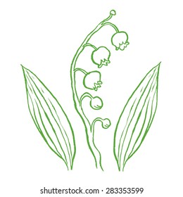 lily of the valley hand drawing vector illustration