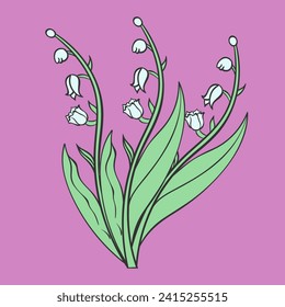 Lily of the valley illustration art design