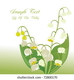 Lily of the valley. Illustration vector.