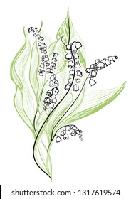 lily of the valley isolated on white background