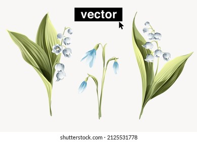 Lily Of The Valley Leaves, And Snowdrop Flowers. Vector Watercolor Illustration. Perfect For Background For Easter Greetings, Spring Birthdays, Family Cards.