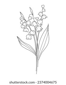 Lily Of the Valley Line Art. Lily Of the Valley outline Illustration. May Birth Month Flower. Lily Of the Valley flower outline isolated on white. Hand painted line art botanical illustration.