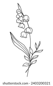 Lily Of the Valley Line Art. Lily Of the Valley outline Illustration. May Birth Month Flower. Lily Of the Valley flower outline isolated on white. Hand painted line art botanical illustration.