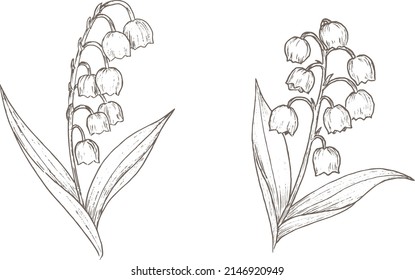 Lily of the valley line art set