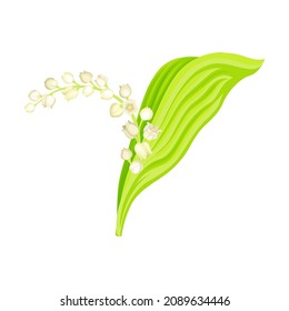 Lily del valle. Flor aromática de timbre, símbolo de primavera, naturaleza, flora, diseño botánico ilustración vectorial