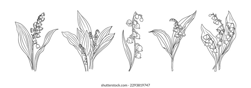 Lily of The Valley May birth month flower drawing. Modern minimalist line art design for jewelry, logo, tattoo, wall art, sticker. Vector black outline illustration isolated on white background