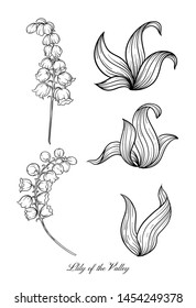 Lily of the valley, may-lily Element for design. Outline hand drawing vector illustration. In art nouveau style, vintage, old, retro style. In botanical style	