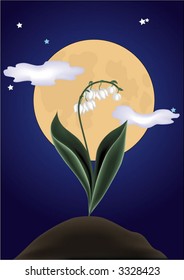 lily of the valley in the night