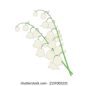 Lily of the valley pair,
Vector illustration isolated on white background
