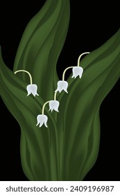 A lily of the valley plant is featured in a floral illustration.