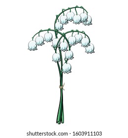 Lily of the valley posy vector illustration. Small blue bell flower bouquet.