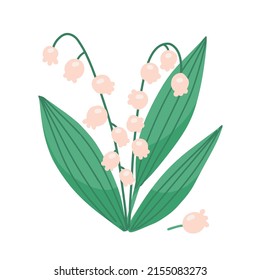 Lily of the valley, spring flower with blooming bell-shaped buds. Isolated woodland floral plant Muguet. White May convallaria with leaves. Colored flat vector illustration.