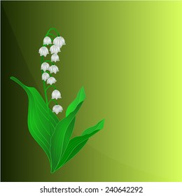 Lily of the Valley Spring flower green background place for text vector