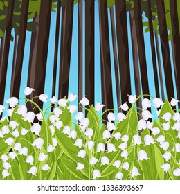 Lily of the valley spring tender flowers in a forest glade, vector illustration. White buds bluebells and green stalks leaves against a background of trees and blue sky bottom view, floral banner