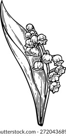 Lírio do Vale Vetor Ilustração Botânica, Desenhado à Mão Floral Line Art em Estilo de Gravação Vintage
