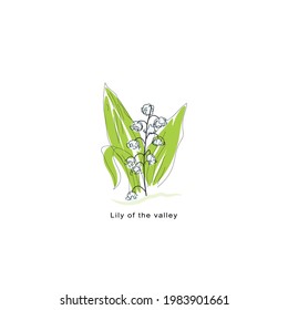 Lily of the Valley  Vector Illustration