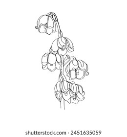 lily of the valley vector illustration. Black and white floral vector illustration of a lily of the valley