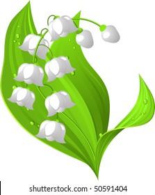 Lily of the valley. Vector illustration. Isolated