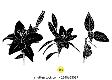 Ilustración del vector de lirio del valle, conjunto de siluetas de lirio decorativo negro del valle, siluetas negras vectoriales de flores aisladas en un fondo blanco.