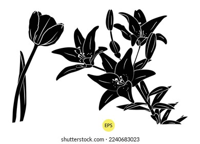 Lily of Valley Illustration, Set of Black Decorative Lily of Valley Silhouetten, Vektorschwarze Silhouetten von Blumen einzeln auf weißem Hintergrund.