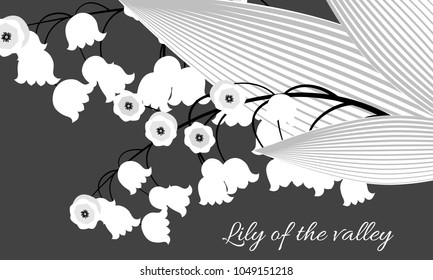 Lily of the Valley. Vector Illustration with Spring Flowers. Beautiful Template with Convallaria Flowers. May Lily in Hipster Style for Spring Design, Card, Greeting, Invitation, Wedding, Poster.