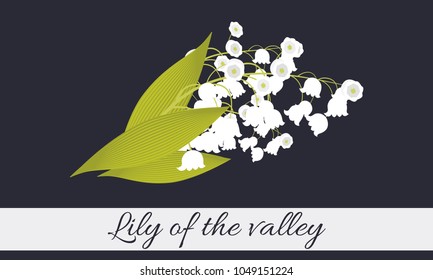 Lily of the Valley. Vector Illustration with Spring Flowers. Beautiful Template with Convallaria Flowers. May Lily in Hipster Style for Spring Design, Card, Greeting, Invitation, Wedding, Poster.