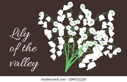 Lily of the Valley. Vector Illustration with Spring Flowers. Beautiful Template with Convallaria Flowers. May Lily in Hipster Style for Spring Design, Card, Greeting, Invitation, Wedding, Poster.
